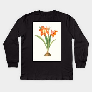 Barbados lily - Hippeastrum puniceum - botanical illustration Kids Long Sleeve T-Shirt